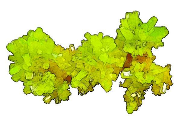 Pyromorphite - San Andres Mine, Cordoba Spain.jpg