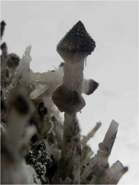 Quartz scepter crystals and double scepter, San Antonio, Chihuahua, Mexico.jpg