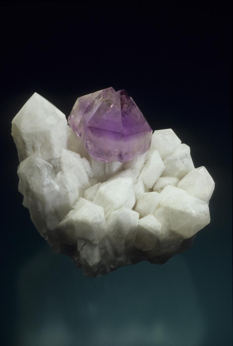 Quartz var. amethyst scepter - Hopkinton_Washington Co._Rhode Island_USA - 6.1 cm.jpg