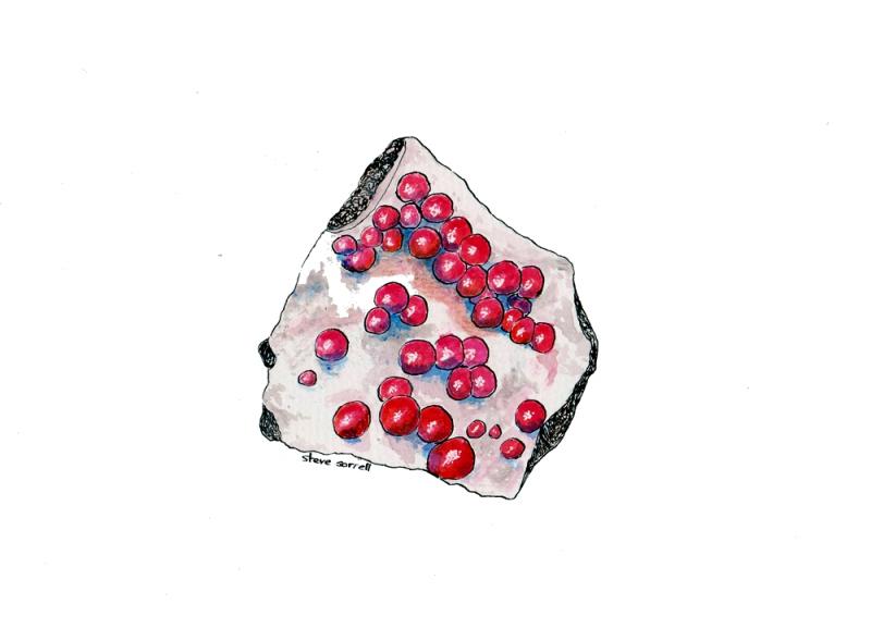 rhodochrosite-zinccorp-edited.jpg