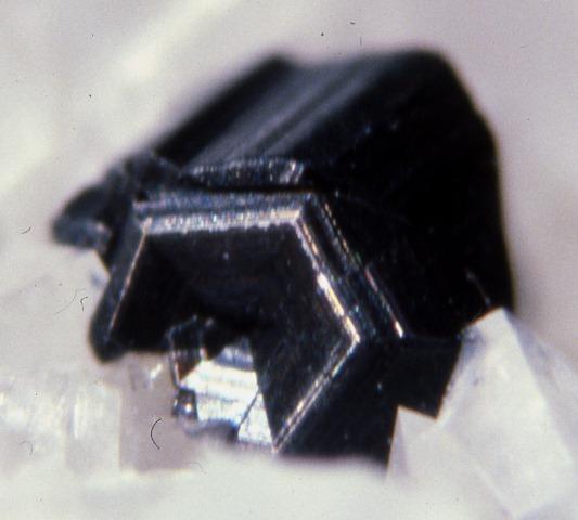 Rutile-BARILIcrevola04 BT (DIA).jpg