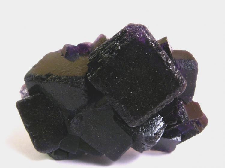 Sainte-Marie-aux-Mines 2011 - Fluorite_Negrina_La Viesca_Asturias_Spain.jpg