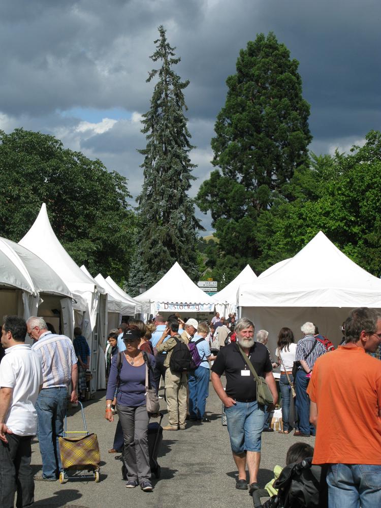 Sainte Marie aux Mines 2011 - Nice atmosphere jpg.jpg