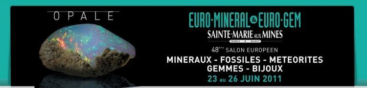 Sainte-Marie-aux-Mines 2011 brochure.jpg