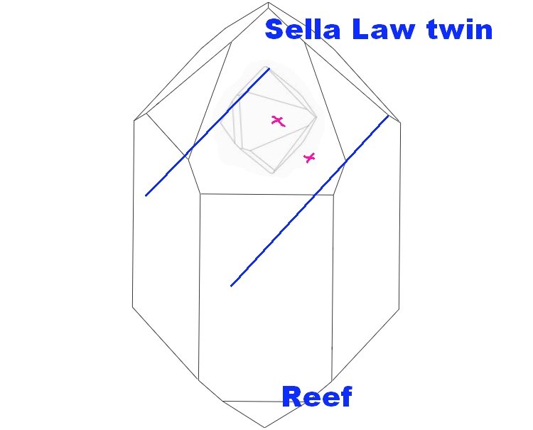 Sella Law.jpg