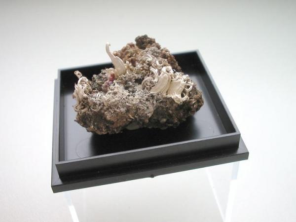 Silber (Oberschlema).JPG