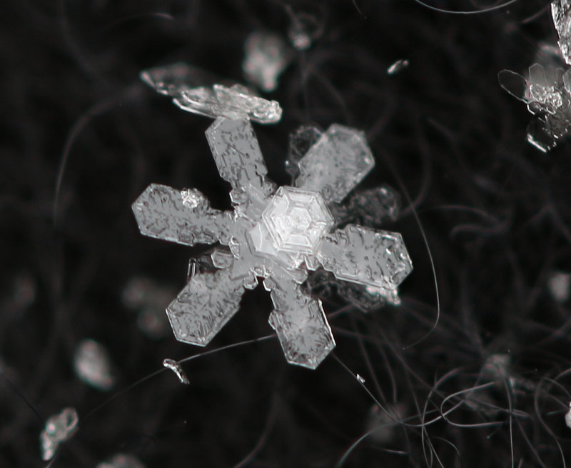 snowflake1a.jpg