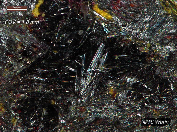 Stibine-JD-N°1-01-AB_R.jpg