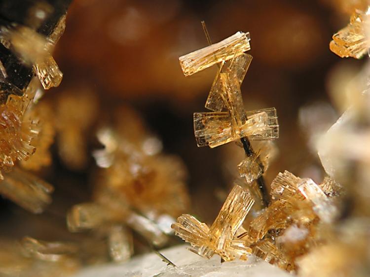 Stilbite - Big Rock Quarry_Granite Mountain area_Little Rock_Pulaski Co._Arkansas_USA.jpg