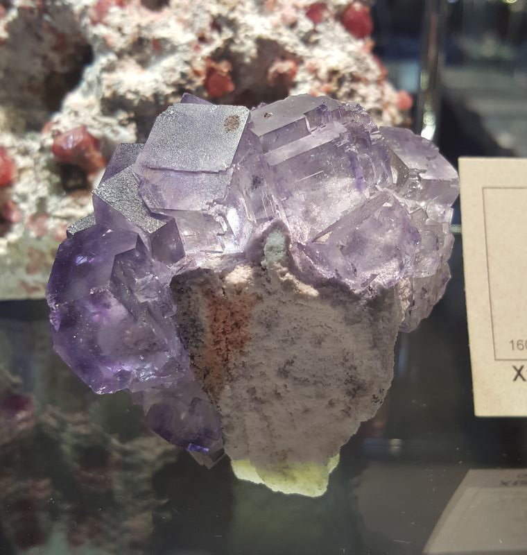 t_dl_xtal_fluorite_mapimi_02_390.jpg