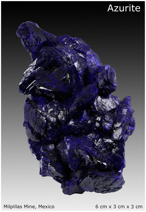 01 - AZURITE CLUSTER - MILPILLAS - MEXICO - DISPLAY VIEW 1.jpg