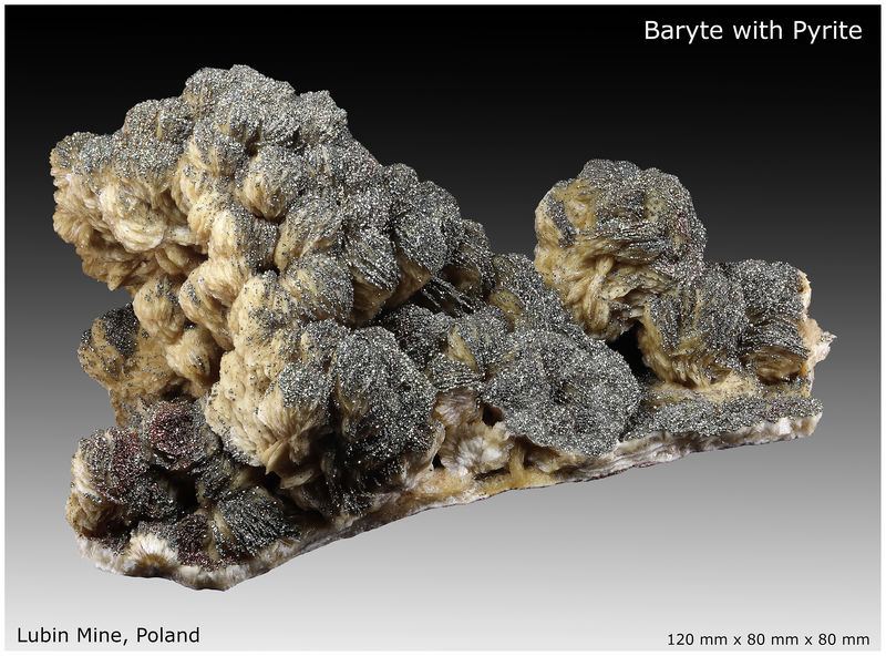 02 - BARITE WITH PYRITE - LUBIN MINE - POLAND - VIEW 2.jpg