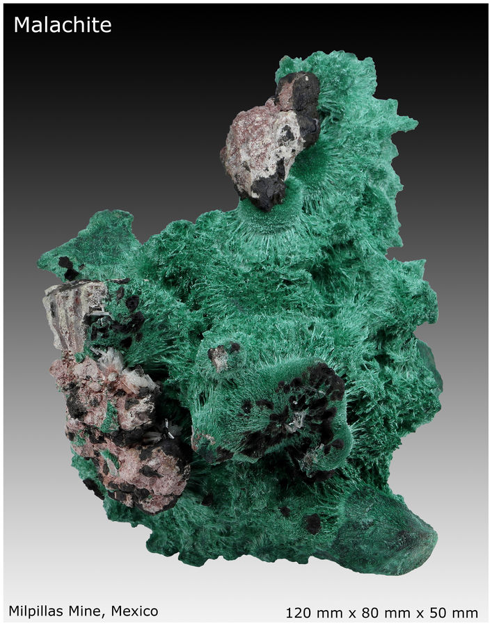 02 - MALACHITE ON MATRIX - REAR VIEW 1.jpg
