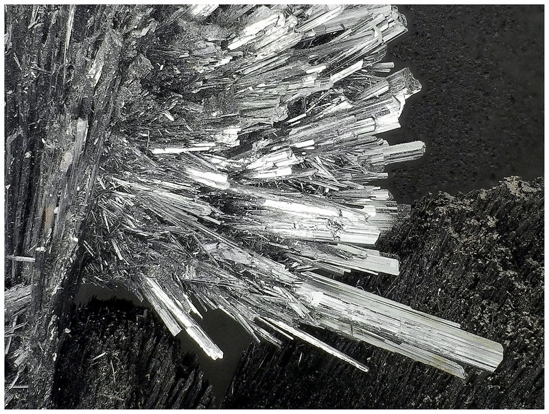 03 - BERTHIERITE WITH STIBNITE.jpg