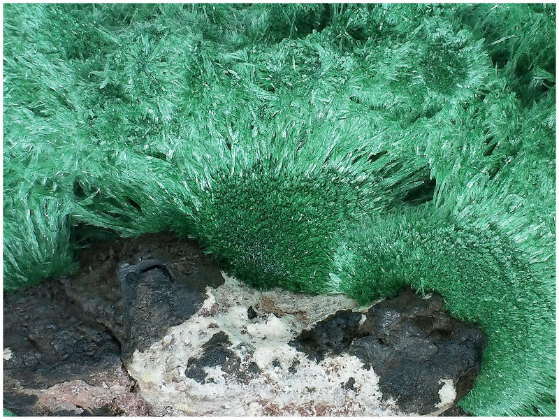 03 - MALACHITE ON MATRIX - DETAIL OF THE CRYSTALS 1.jpg