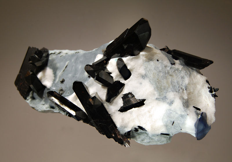 1042 Neptunite.jpg
