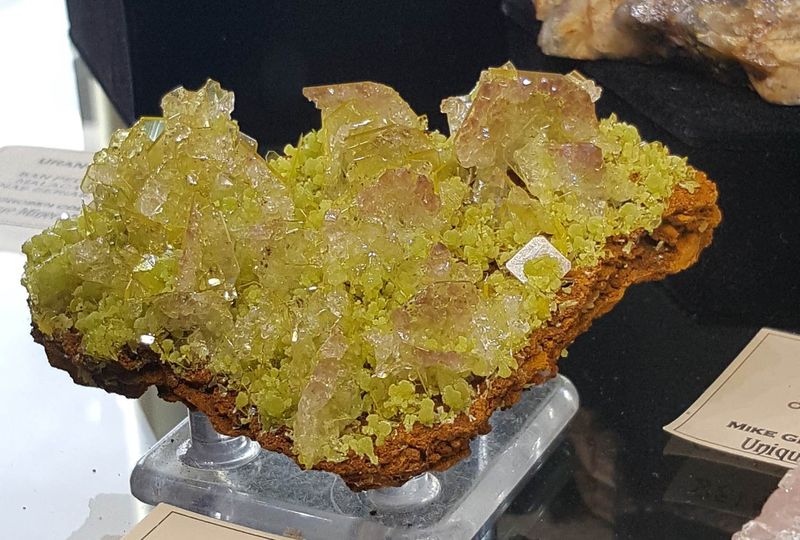 1 - Wulfenite Mimetite Ojuela Old Groben Collection Evan Jones.jpg