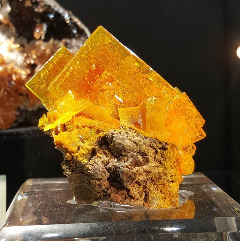 1 - Wulfenite San Francisco Sonora Wendell Minerals.jpg