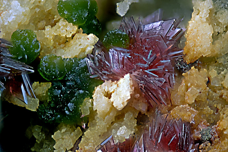 2025-05-05-13.39.05-ZS-PMax.jpg