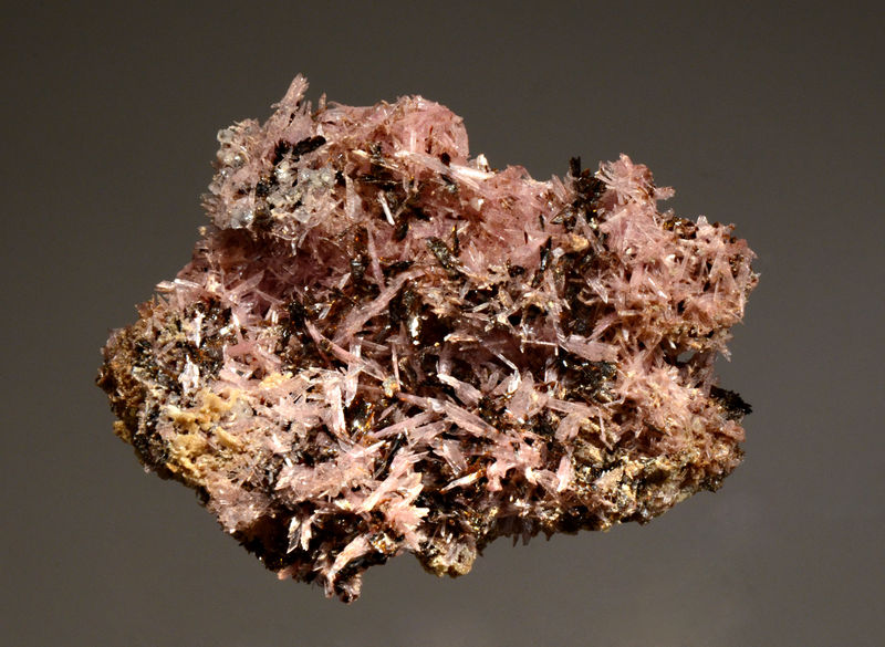 2309 Inesite and hubeite - Fengjiasheng Mine, China.jpg