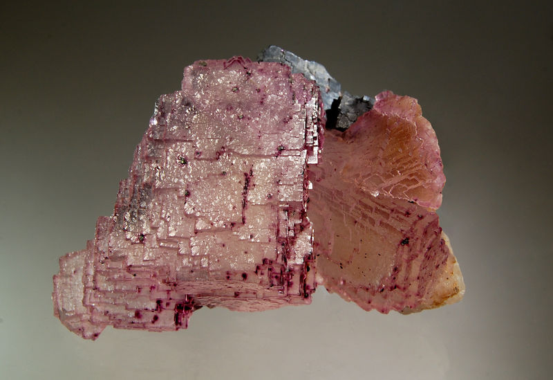 2409 Fluorite - Hill Ledford Mine.jpg