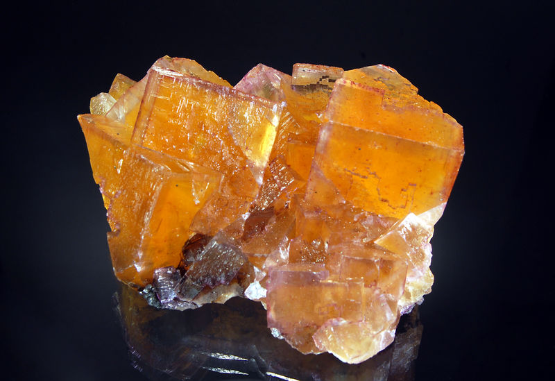 2481 Fluorite - M. F. Oxford #7, Cave-in-Rock District, Illinois.jpg