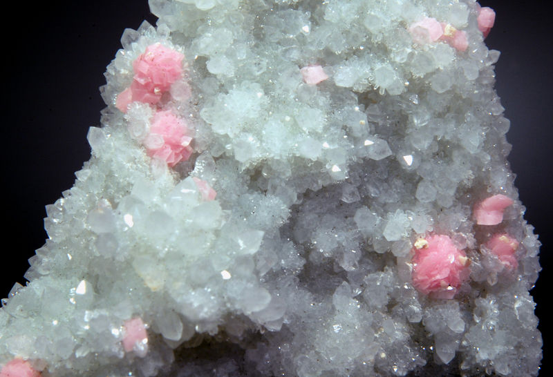 2505 Rhodochrosite on quartz (macro) - Grizzly Bear Mine, Ouray, Colorado.jpg