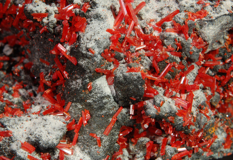 2663 Realgar (closeup2) - Baia Sprie, Maramures, Romania.jpg