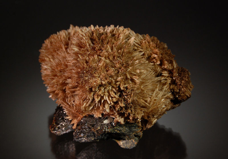 2671 Calcite on sphalerite - Minerva #1 Mine, Cave-in-Rock Sub-District, Hardin Co., Illinois.jpg