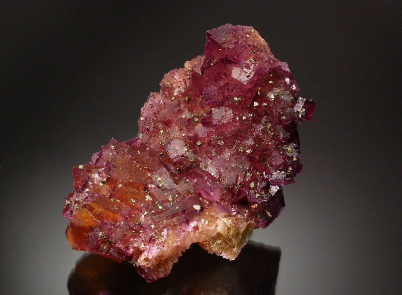 2747 Fluorite - Annabel Lee Mine, Hardin Co., Illinois.jpg