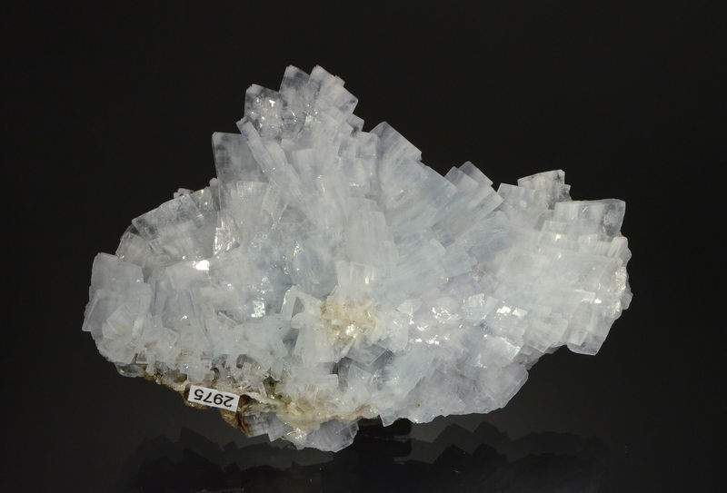 2975 Barite2 - San Jorge Mine, Portman, La Union, Murcia, Spain.jpg