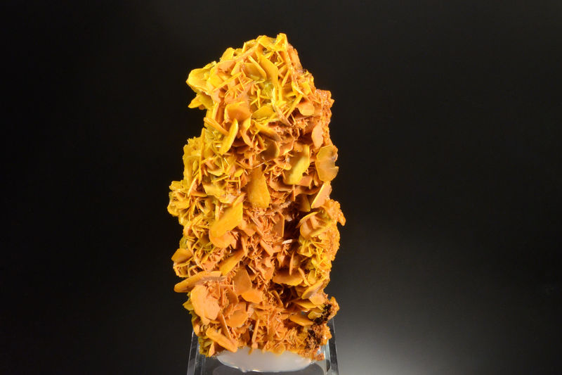 3144 Wulfenite - Stephanie Mine, Bleiberg, Carinthia, Austria.jpg