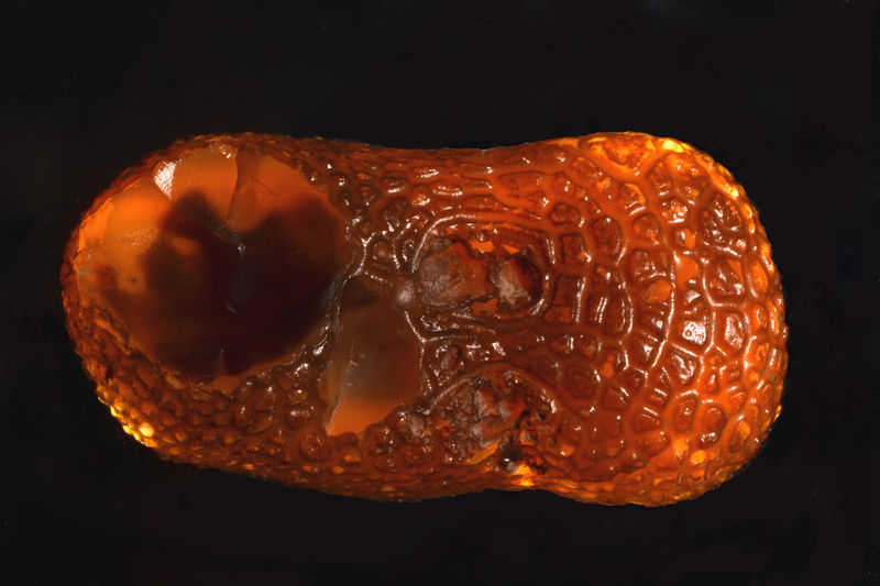 3166 Chalcedony backlit - Rome, Malheur County, Oregon.jpg