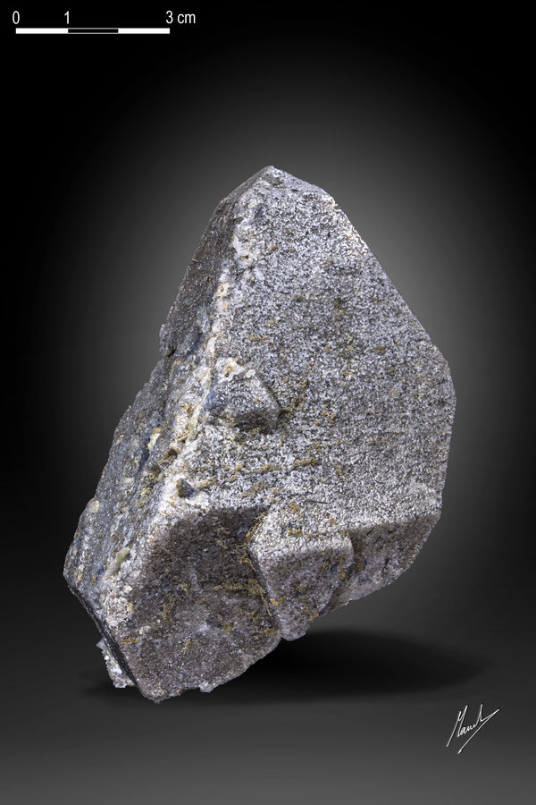 3349.jpg