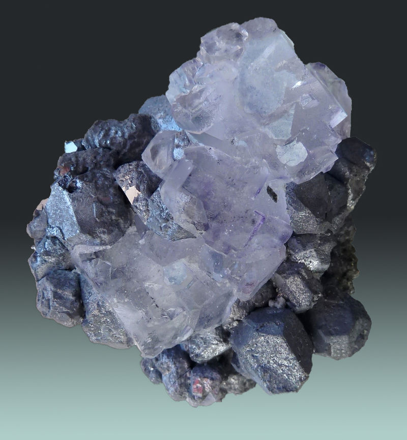 45 - Fluorite on Galena Ojuela Mapimi Durango.jpg