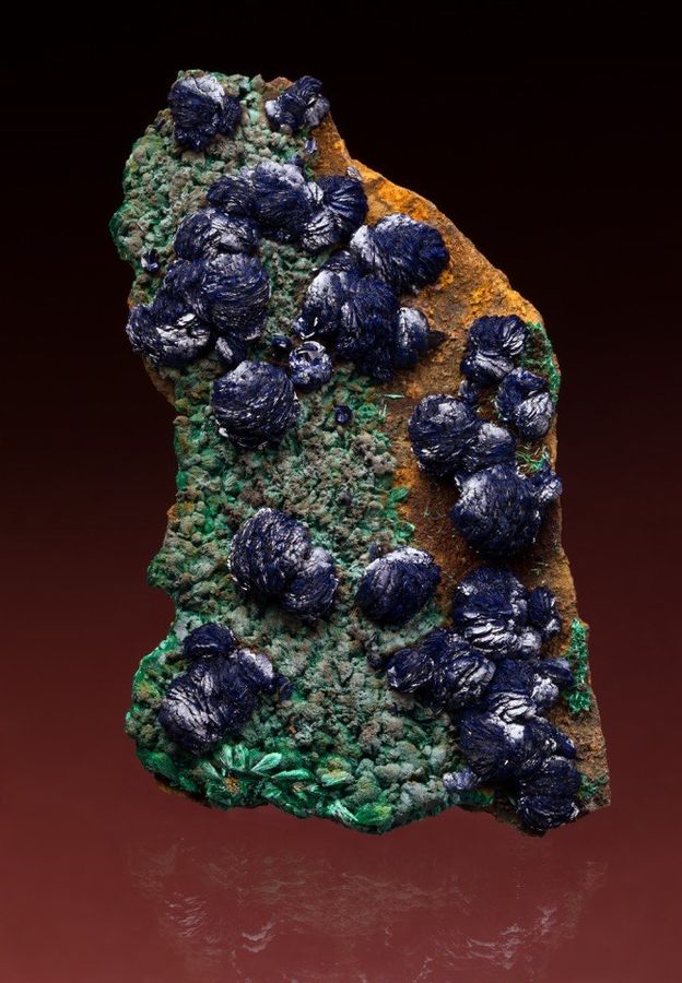 5131-Azurite-Copper Queen Bisbee-104mm-Spann-TSpann photo-IMG_6242s.jpg