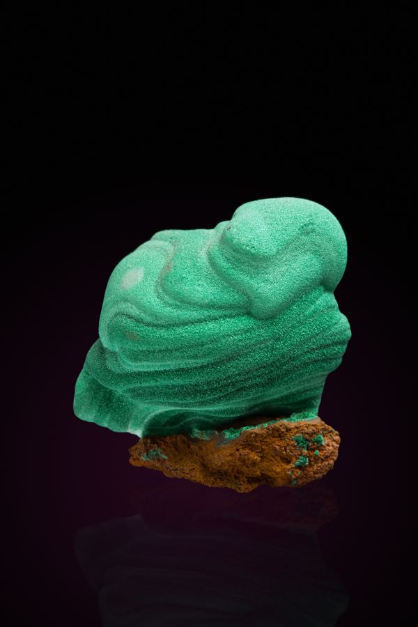 5486-Malachite-Ojuela Mexico-27mm-Spann-TSpann photo-IMG_2947.jpg