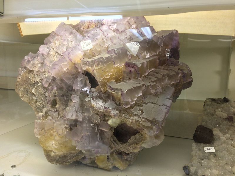 BCMM, Fluorite (11).JPG