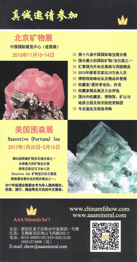 Beijing Mineral-Gem-Fossil Show November 2016 (b).jpg