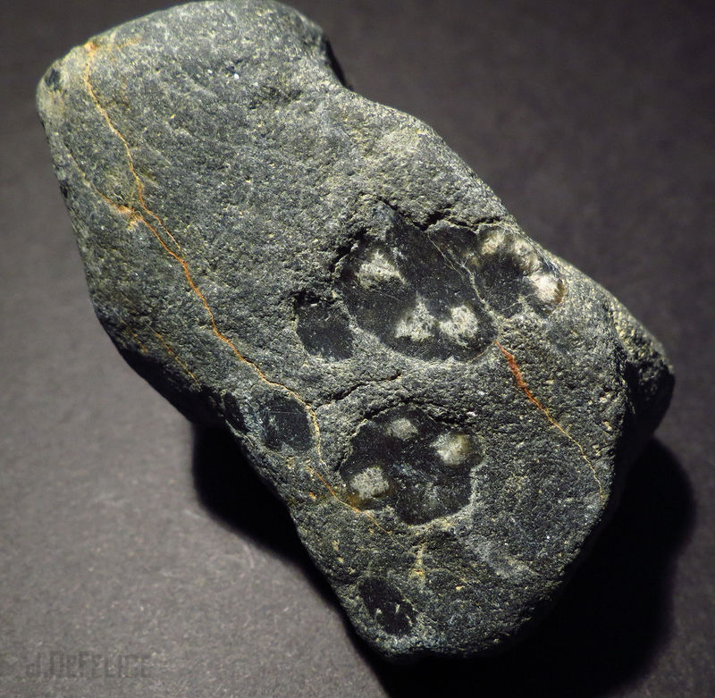 Chiastolite6.25.15B.jpg