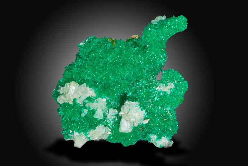 Dioptase-Elefant-Tiger-3x3.5x2.jpg