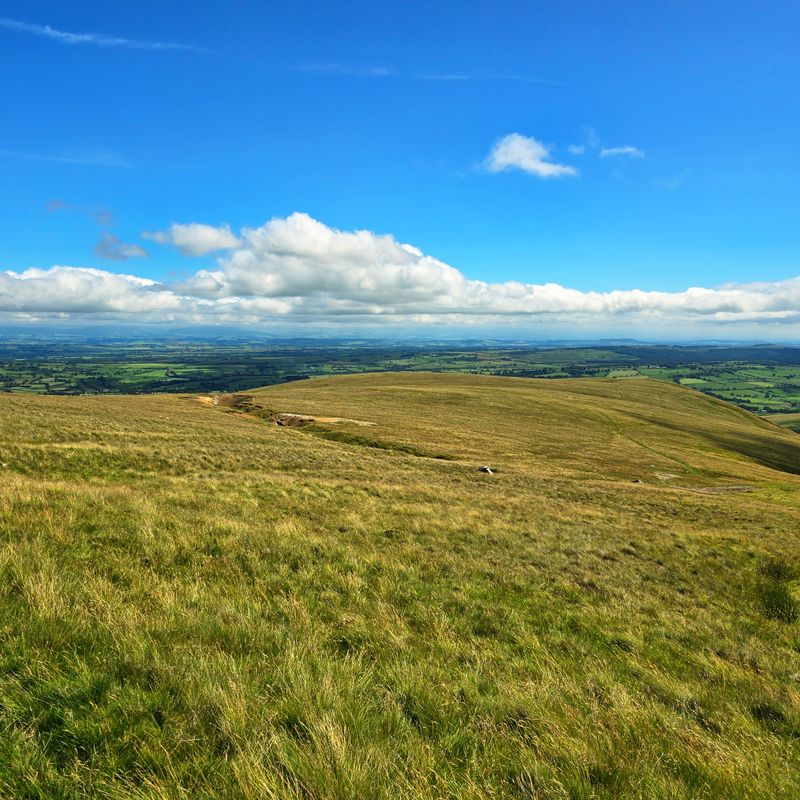 Driggith - open cut view.JPG