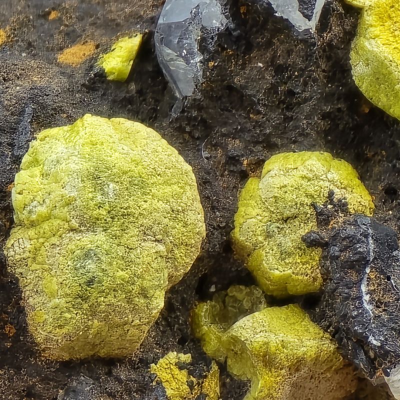 Dry Gill - Mimetite botryoidal growth P1.jpg