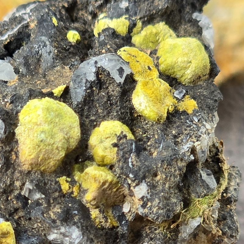 Dry Gill - Mimetite botryoidal growth P3.jpg