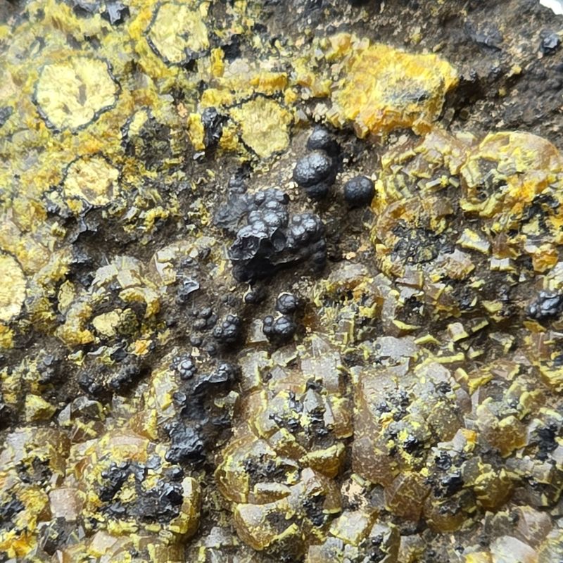 Dry Gill - Mimetite (Var Camphylite), And Possible Coronadite.jpg