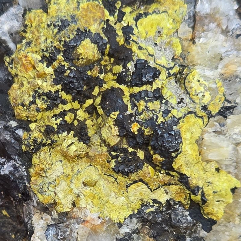 Dry Gill - Mimetite (var Camphylite) And Possible Coronadite P10.jpg
