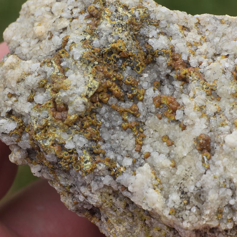 Dry Gill - Mimetite(var Campylite) quartz matrix P2.jpg