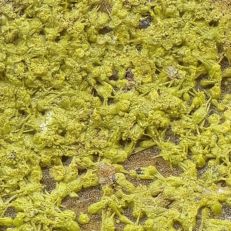 Dry Gill - pyromorphite Macro.jpg