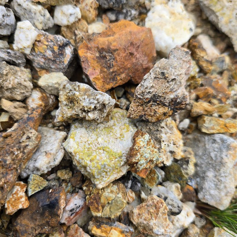Dry Gill - Vien spoils P 2.jpg