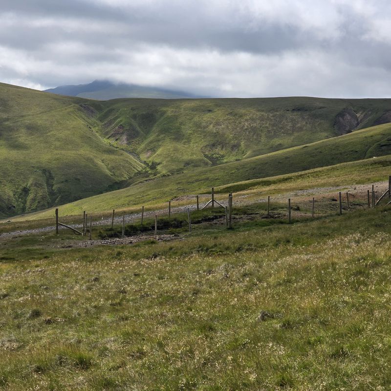 Dry Gill - view from upper driggith.jpg